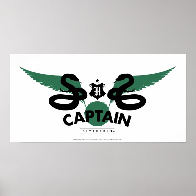Poster Harry Potter | SLYTHERIN™ House Quidditch Capitain (Devant)