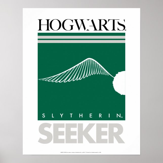Poster Harry Potter | SLYTHERIN™ House Quidditch Seeker (Devant)