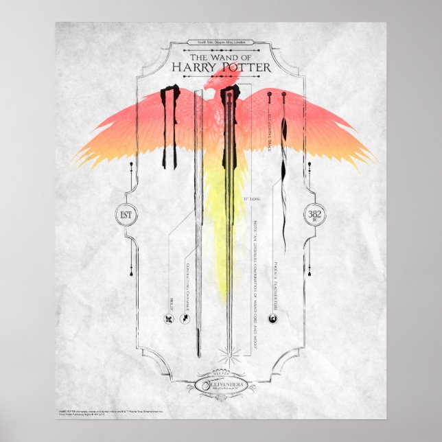 Poster Harry Potter Spell | Harry's Wand Infographic (Devant)