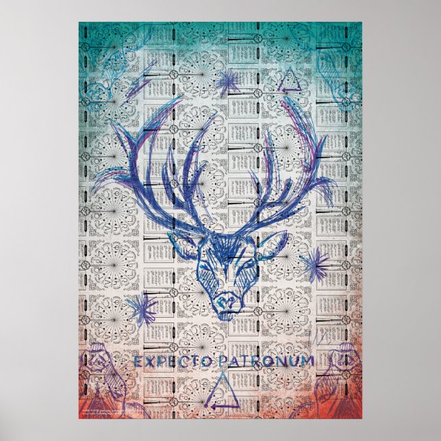 Poster Harry Potter Spell | PATRONUM™Esquisse de stade (Devant)