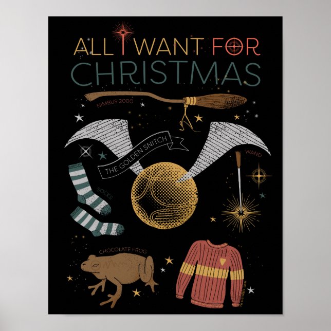 Poster HARRY POTTER™ Tout ce que je veux pour Noël (Devant)