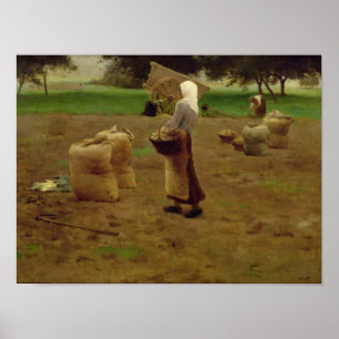 Poster Harvesting Potatoes
