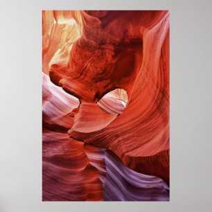 Poster Hasdestwazi