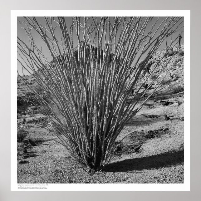 Poster Hastings Réserve d'histoire naturelle (Devant)