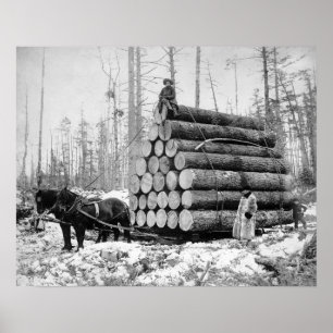 Poster Hauling a Load of Logs, 1908. Photo vintage