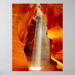 Poster Haut-Antelope