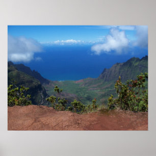 Poster Hawaï