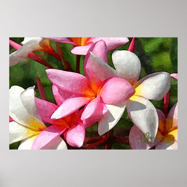 Poster Hawaï Flowers (Devant)