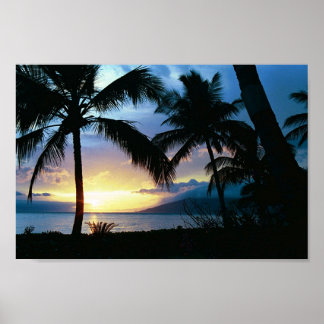 Poster Hawaii