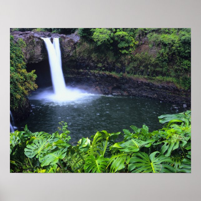 Poster Hawaii, Big Island, Hilo, Rainbow Falls, Lush (Devant)