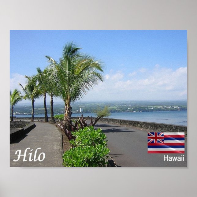 Poster Hawaii - Hilo - (Devant)