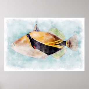Poster Hawaii Humuhumunukunukuapuaa Trigger Fish Hawaii