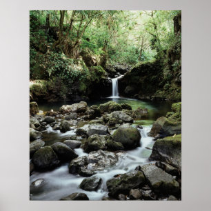 Poster Hawaii, Maui, Une cascade se jette dans le bassin 