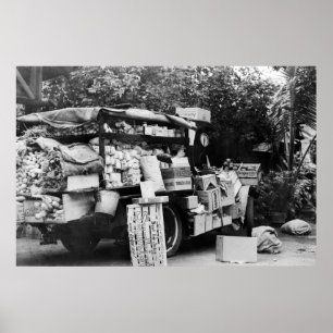 Poster Hawaii - Vue d'un Wagon végétal autochtone