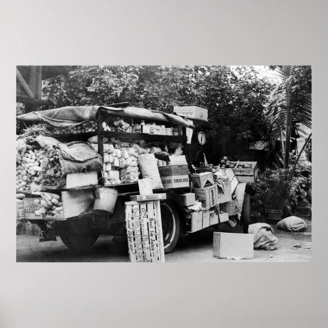 Poster Hawaii - Vue d'un Wagon végétal autochtone (Devant)