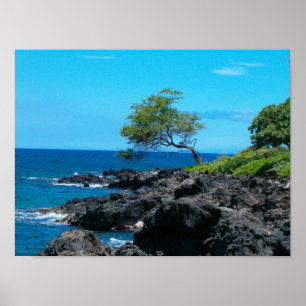 Poster Hawaiian Coastline