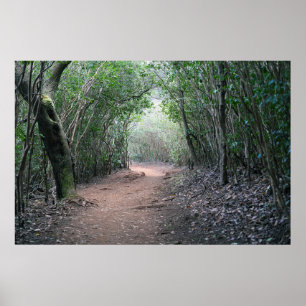 Poster Hawaiian Randonnée Trail
