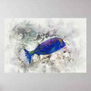 Poster Hawaiian Tropical Fish Watercolor - Boxfish