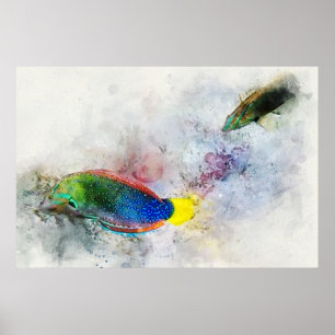 Poster Hawaiian Tropical Fish Watercolor - Wrasse