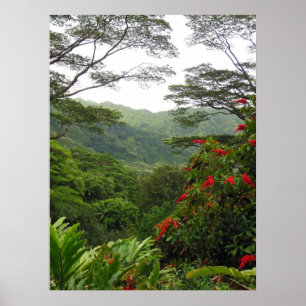 Poster Hawaiian Tropical Rain Forest
