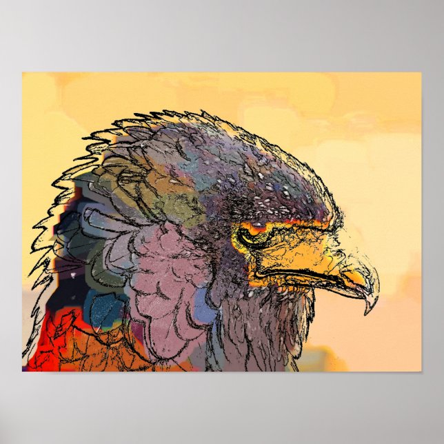 POSTER HAWK (Devant)