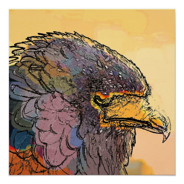 POSTER HAWK (Devant)