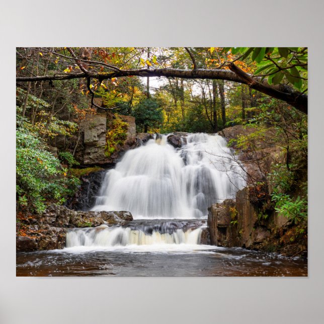 Poster Hawk Falls à l'automne 14x11" (Devant)