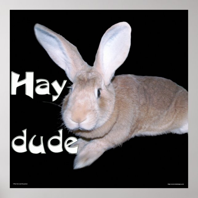 Poster Hay Dude (Devant)