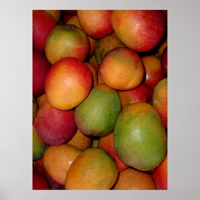 Poster Hayden Mangoes (Devant)