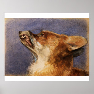Poster Head of a Fox