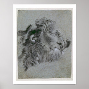 Poster Head of a River-God, c.1751