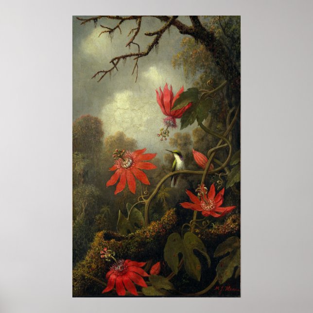 Poster Heade - Colibri Et Fleurs De Passion (Devant)