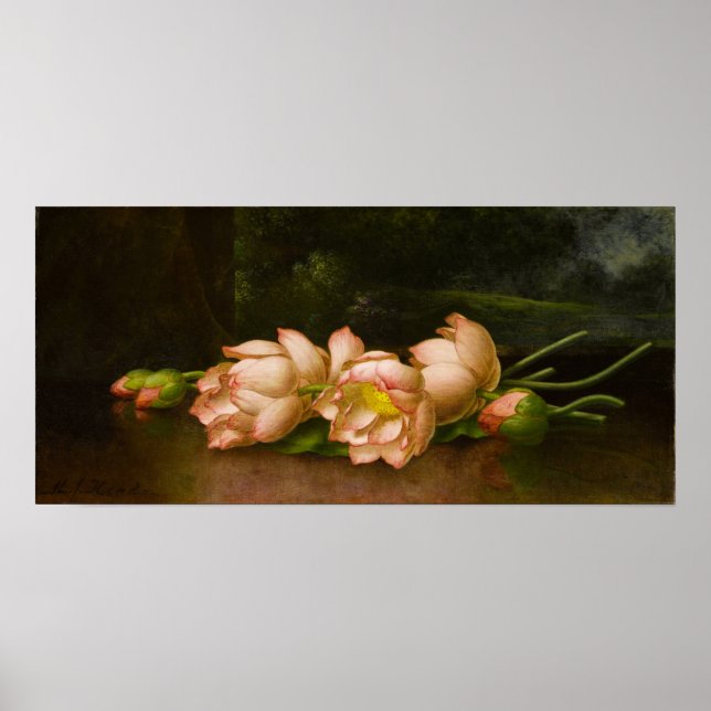 Poster Heade - Fleurs de Lotus (Devant)