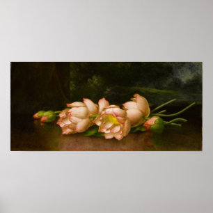 Poster Heade - Fleurs Lotus