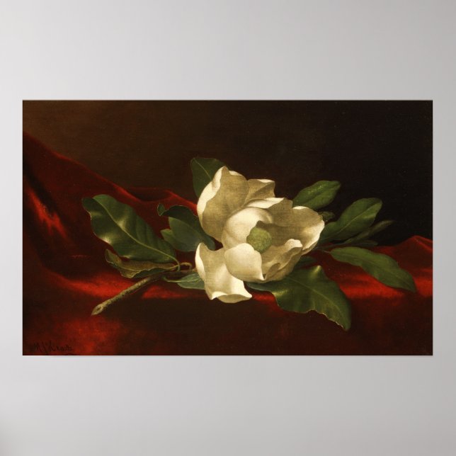 Poster Heade - Magnolia (Devant)