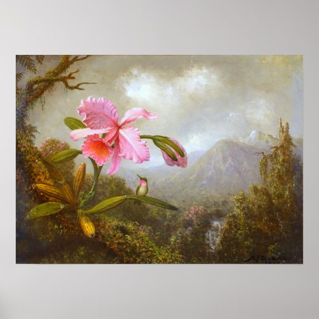 Poster Heade - Orchidée Et Colibri Près D'Une Cascade (Devant)
