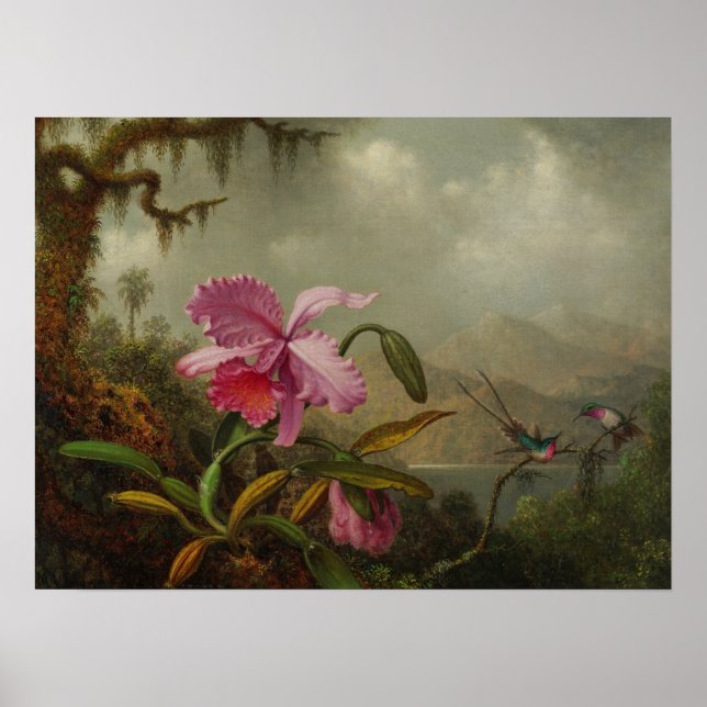 Poster Heade - Orchidées Et Colibris 1875 (Devant)