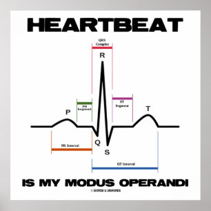 Poster Heartbeat Est Mon Modus Operandi Sinus Rhythm