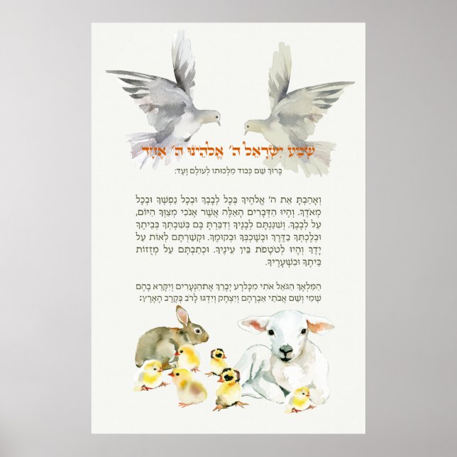 Poster Hébergement Shema Israël pour les enfants avec ani (Devant)