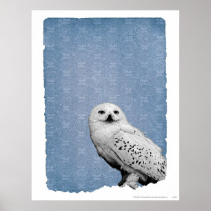 Poster Hedwig 2