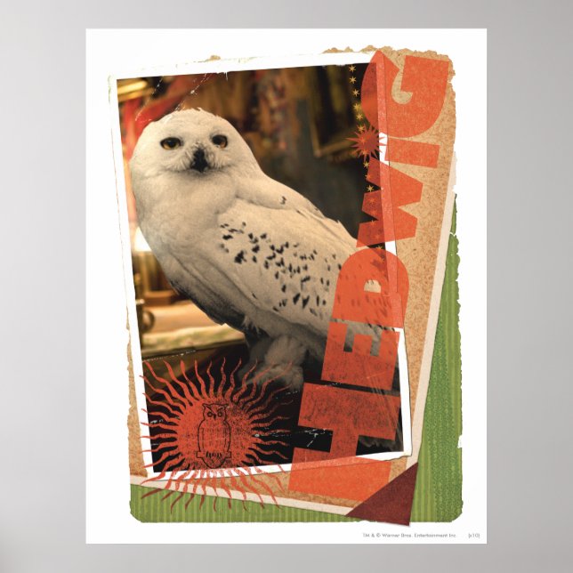 Poster Hedwige 1 (Devant)