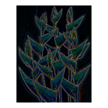 Heliconia Rostrata Plante tropical Floral Art Noir