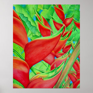 Poster Heliconia rouge