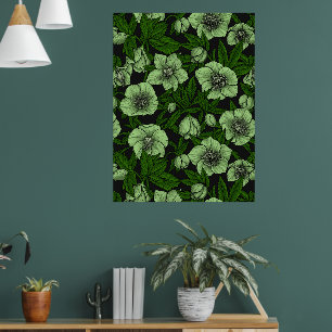 Poster Hellebores blancs avec feuille