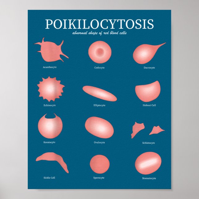 Poster Hematology Red Blood Cell Laboratory Science Hemat (Devant)