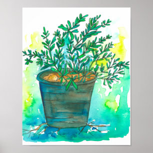 Poster Herb Garden Rosemary