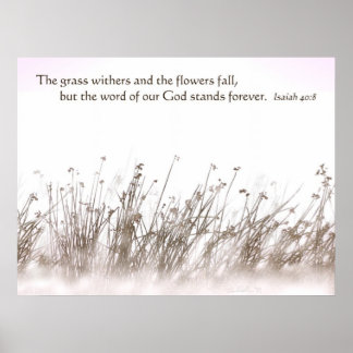 Poster Herbe