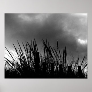 Poster Herbe de plage