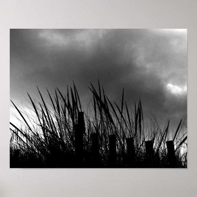 Poster Herbe de plage (Devant)