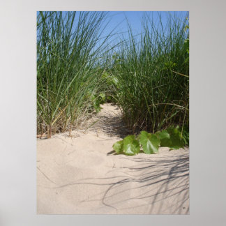 Poster Herbe de plage, Dunes de Warren, MI